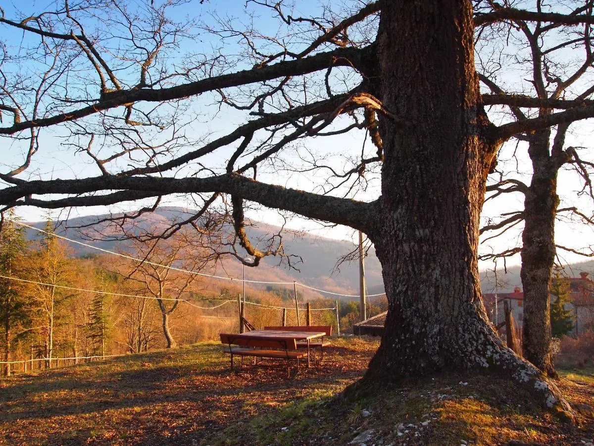Alloggio per agriturismo Agriturismo Vezzano Chiusi della Verna
