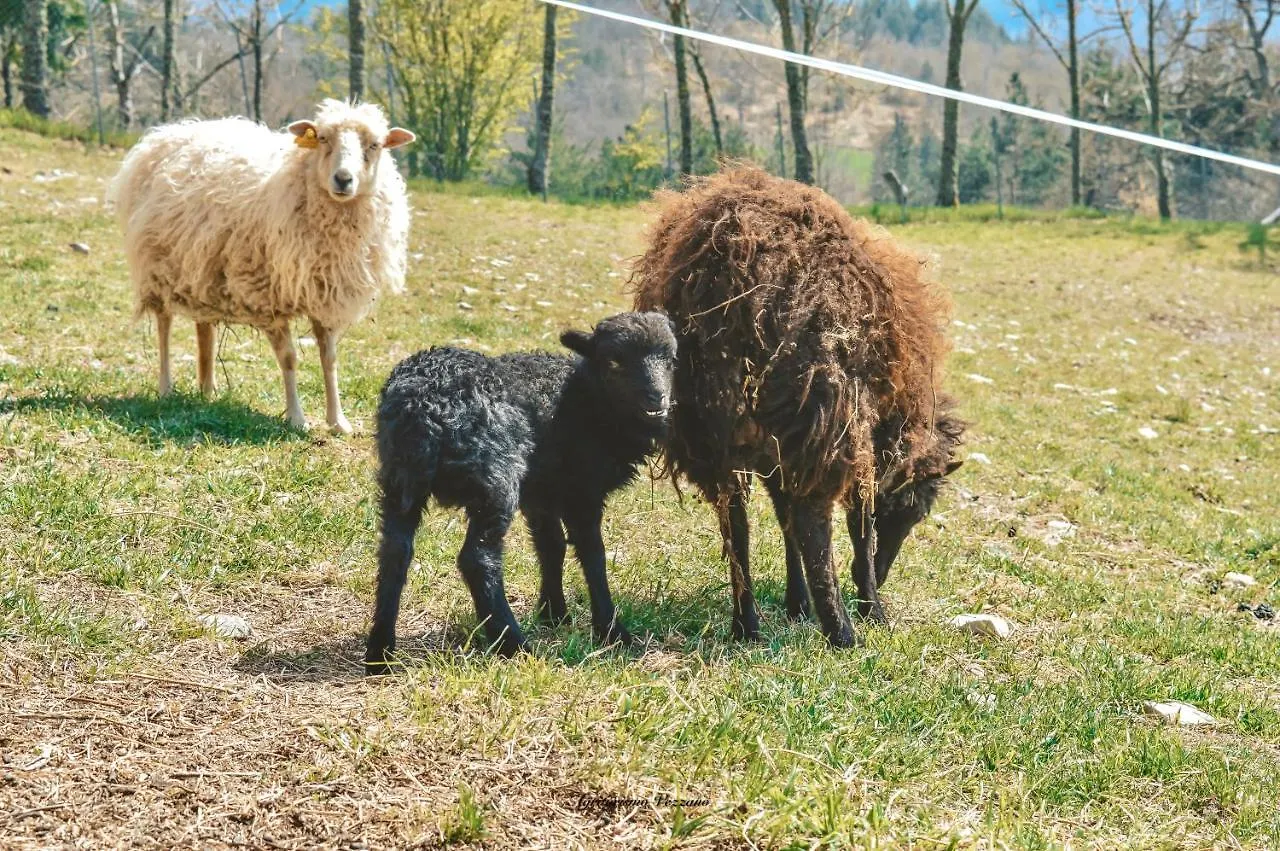 Agriturismo Vezzano Chiusi della Verna Italia