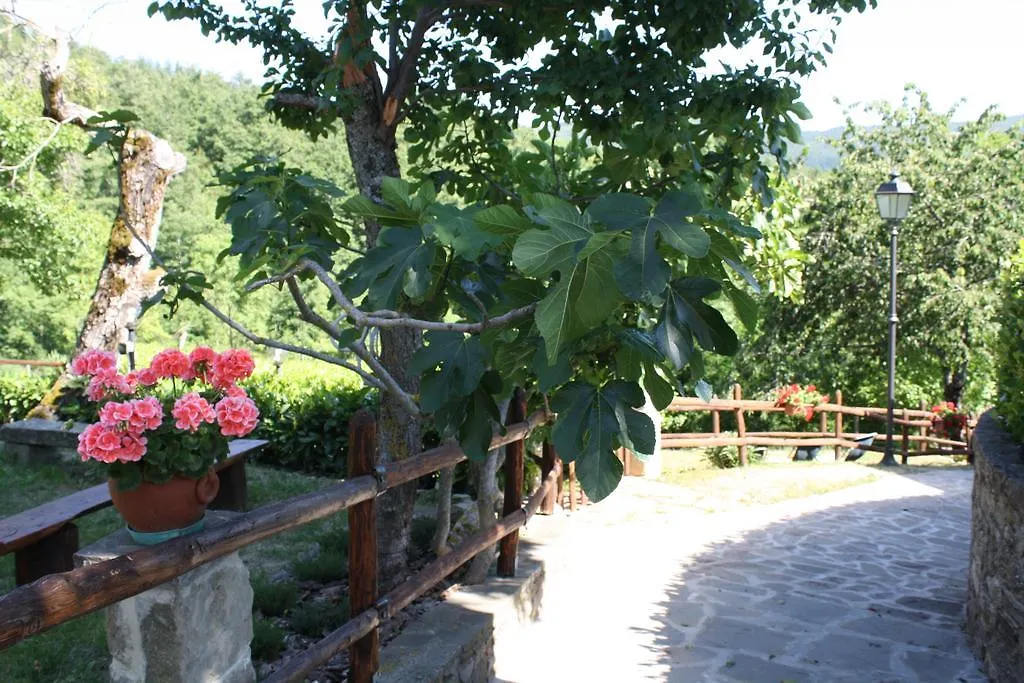 Agroturismo Agriturismo Vezzano Chiusi della Verna